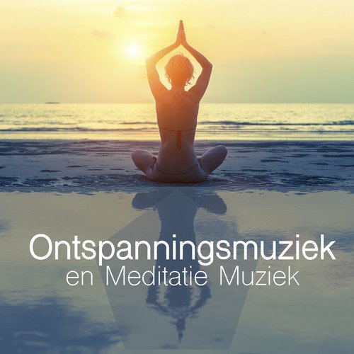 Rustgevende Muziek cover art