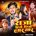 Raja Hero Chhiye Hamar Yaar