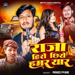Raja Hero Chhiye Hamar Yaar