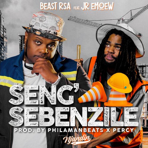 Seng Sebenzile_poster_image