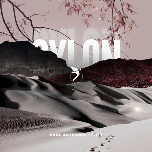 Sylon (Radio Edit)