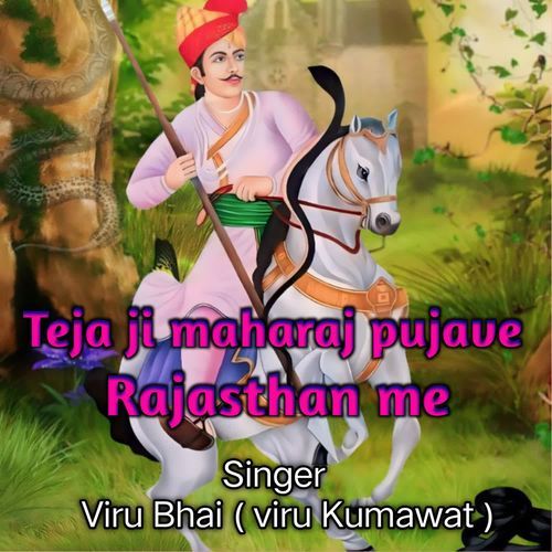 Teja ji maharaj pujave rajasthan me