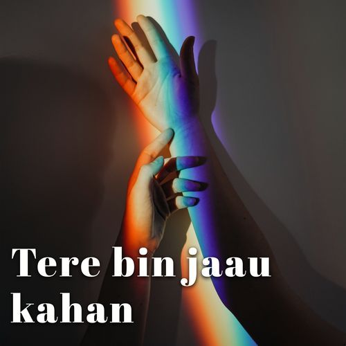 Tere Bin Jaau Kahan