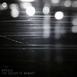 The Colour of Memory