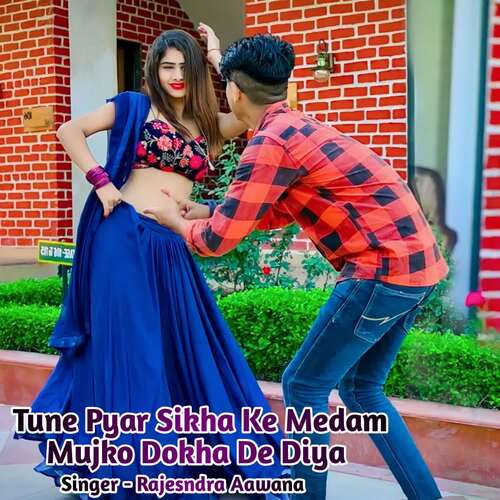 Tune Pyar Sikha Ke Medam Mujko Dokha De Diya