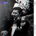 Viola