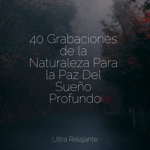 40 Grabaciones de la Naturaleza Para la Paz Del Sueño Profundo_poster_image