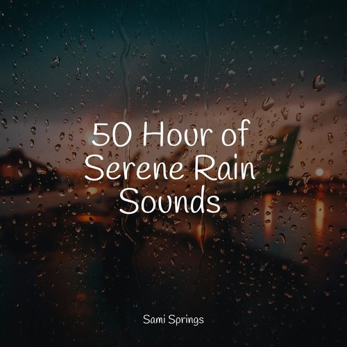 50 Hour of Serene Rain Sounds_poster_image