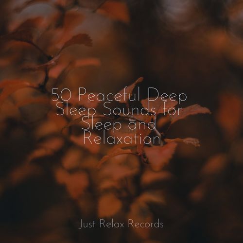 50 Peaceful Deep Sleep Sounds for Sleep and Relaxation