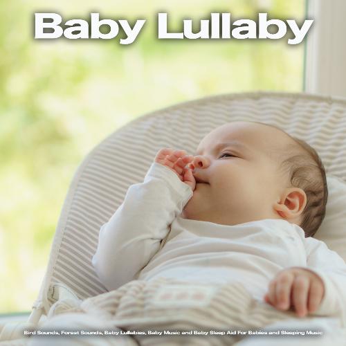Baby Lullaby Academy cover art