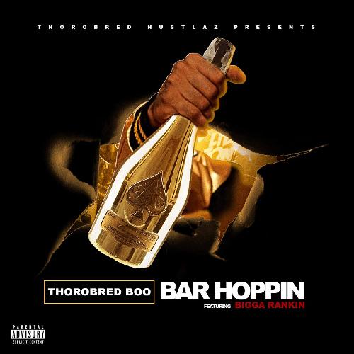 Bar Hoppin_poster_image