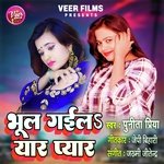 Bhool Gaila Yaar Pyar