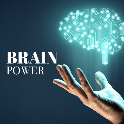 Brain Power - Study Alpha Waves for Deep Focus & Mindful Concentration