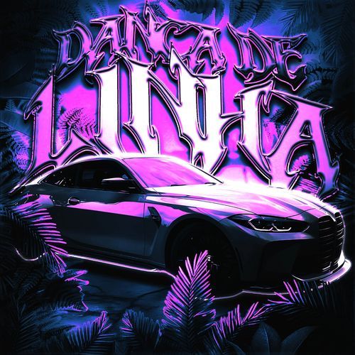 DANCA DE LINHA! cover art