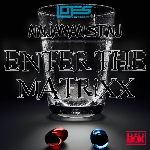 Enter The Matrixx_poster_image