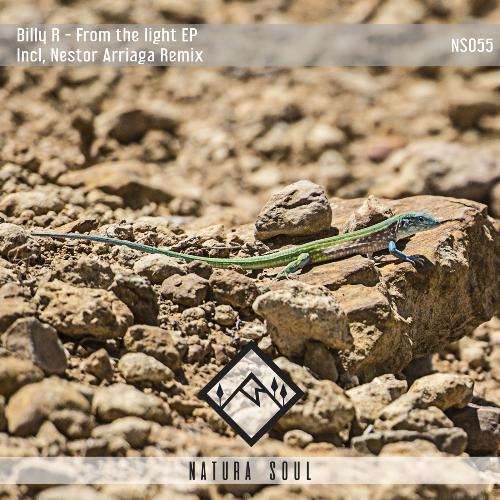 From The Light (Nestor Arriaga Remix) cover art