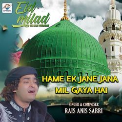 Hame Ek Jane Jana mil Gaya Hai-Fh0PWQZBbwE