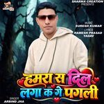 Hamra Sa Dil Lagake Ge Pagali