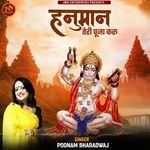 Hanuaman Teri Pooja Karu