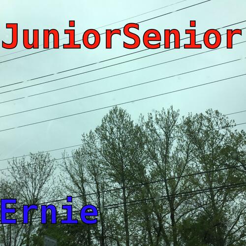 Junior Senior_poster_image