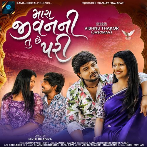Mara Jivanni Tu Chhe Pari