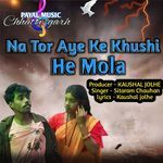 Na Tor Aye Ke Khushi He Mola