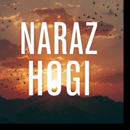 Naraz Hogi