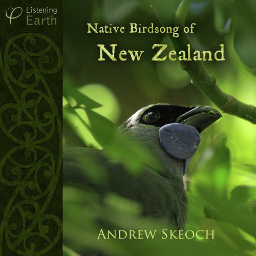 Native Birdsong of New Zealand_poster_image