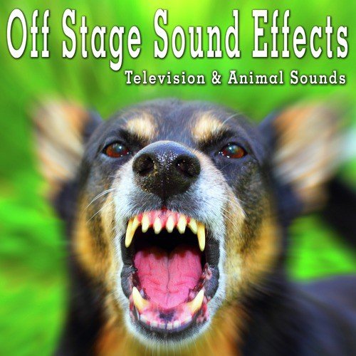 Off Stage Sound Effects: Television & Animal Sounds