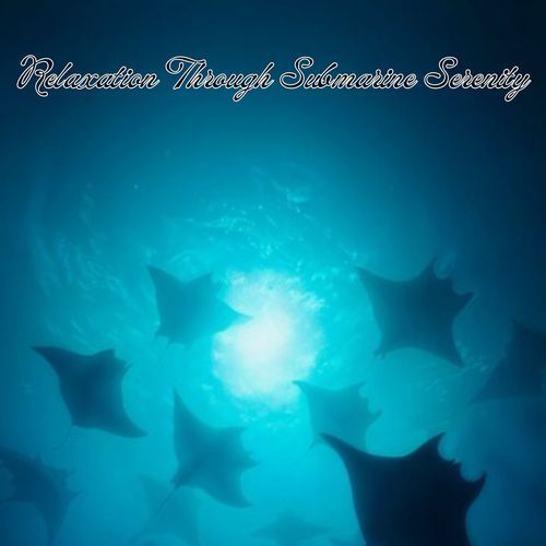 Mindfulness Promotion cover art