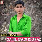 Sahil Baghodiya2