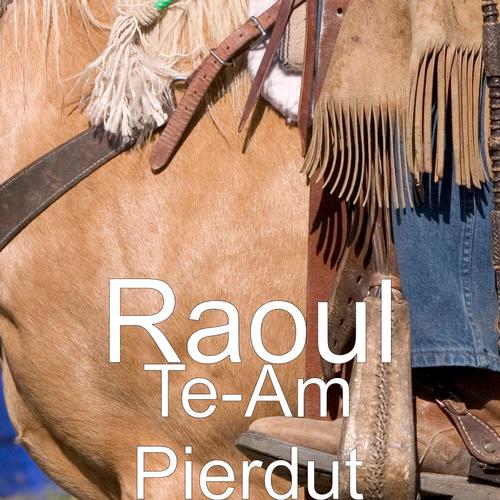 Te-Am Pierdut_poster_image