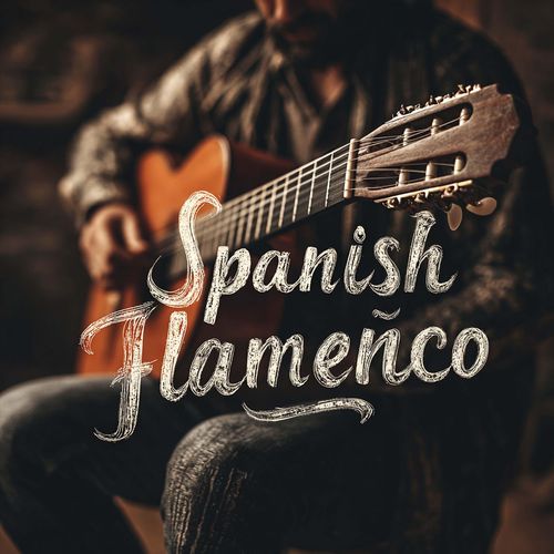 Top Guitar Spanish Flamenco