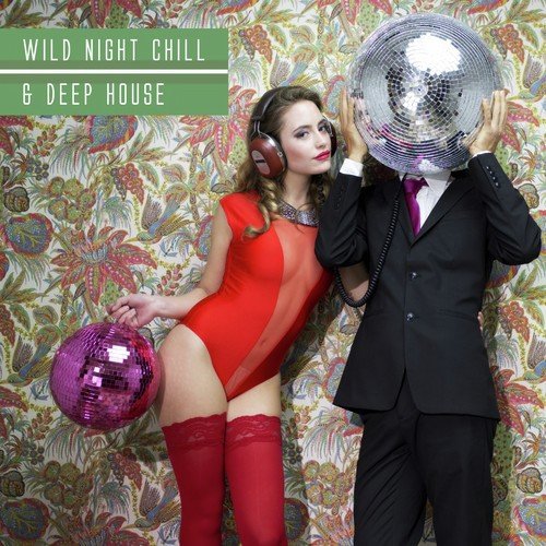 Wild Night Chill & Deep House
