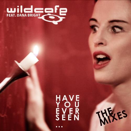 Have You Ever Seen...? (feat. DANA BRIGHT) (Jack&Daniel Radio Edit) cover art