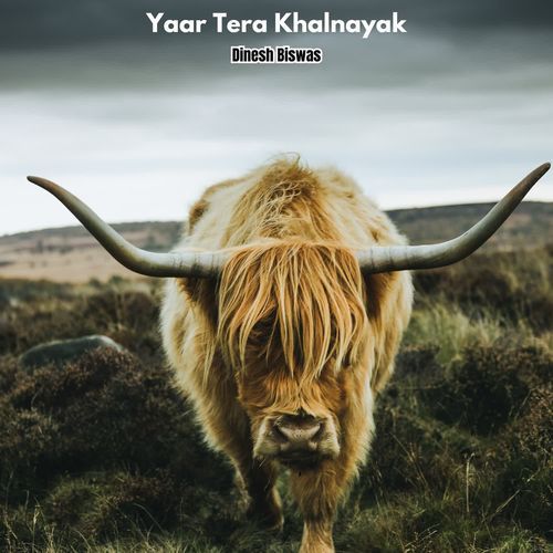 Yaar Tera Khalnayak