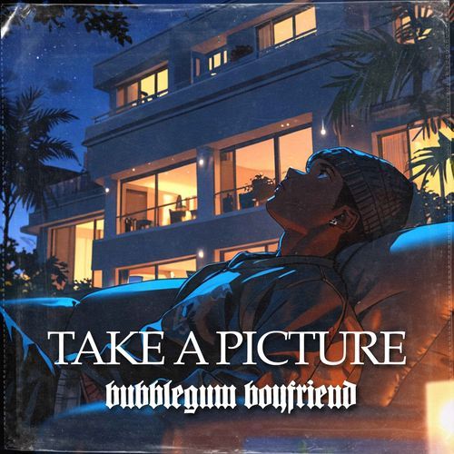 take a picture (SLOWED) cover art