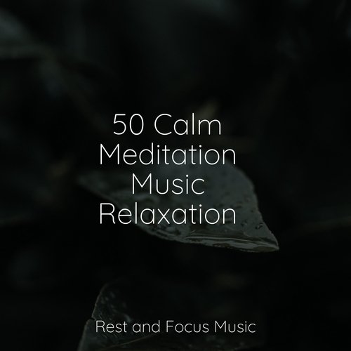 50 Calm Meditation Music Relaxation