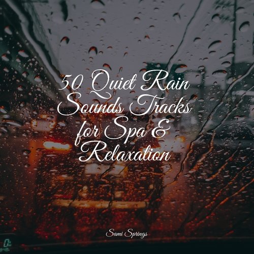 50 Quiet Rain Sounds Tracks for Spa & Relaxation