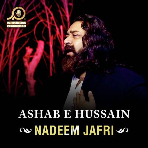 Ashab E Hussain