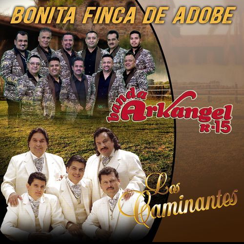 Bonita Finca De Adobe_poster_image