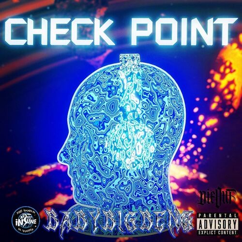 CHECK POINT_poster_image