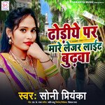 Dhodiye Par Mare Laser Light Budhwa (LOKGEET)