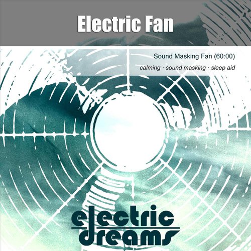 Electric Fan (Sound Masking Fan)