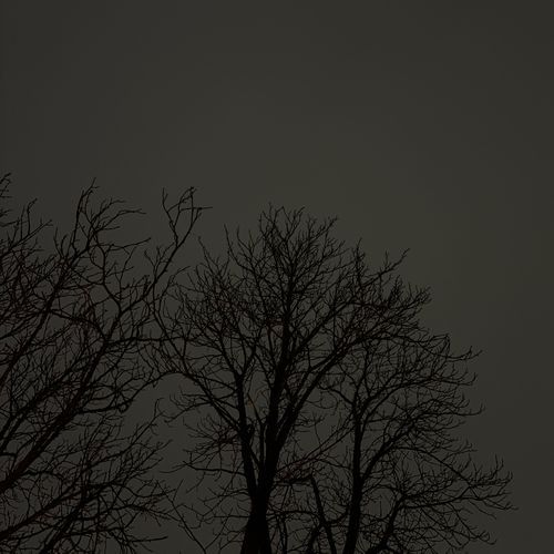 Empty Youth