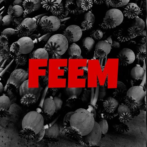 Feem