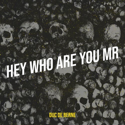 Hey Who Are You Mr cover art