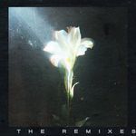 Light That Leads Me (Boris Way Remix)