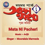 Mata Ni Pacheri