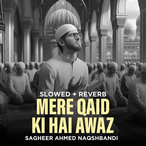 Mere Qaid Ki Hai Awaz (Lofi-Mix)